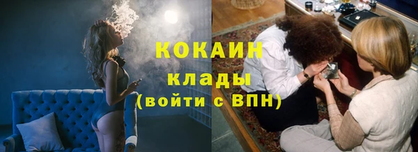 гидра Покровск