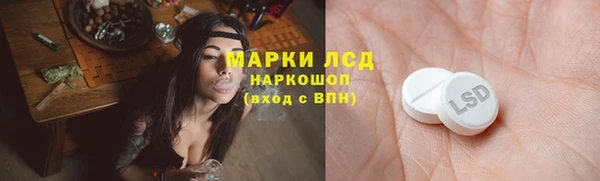 гидра Покровск