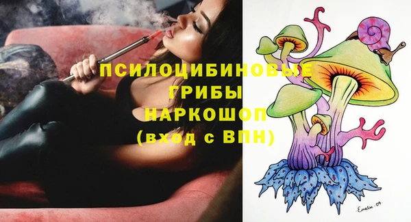 ECSTASY Майский