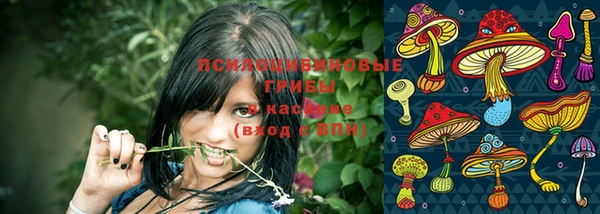 гидра Магадан