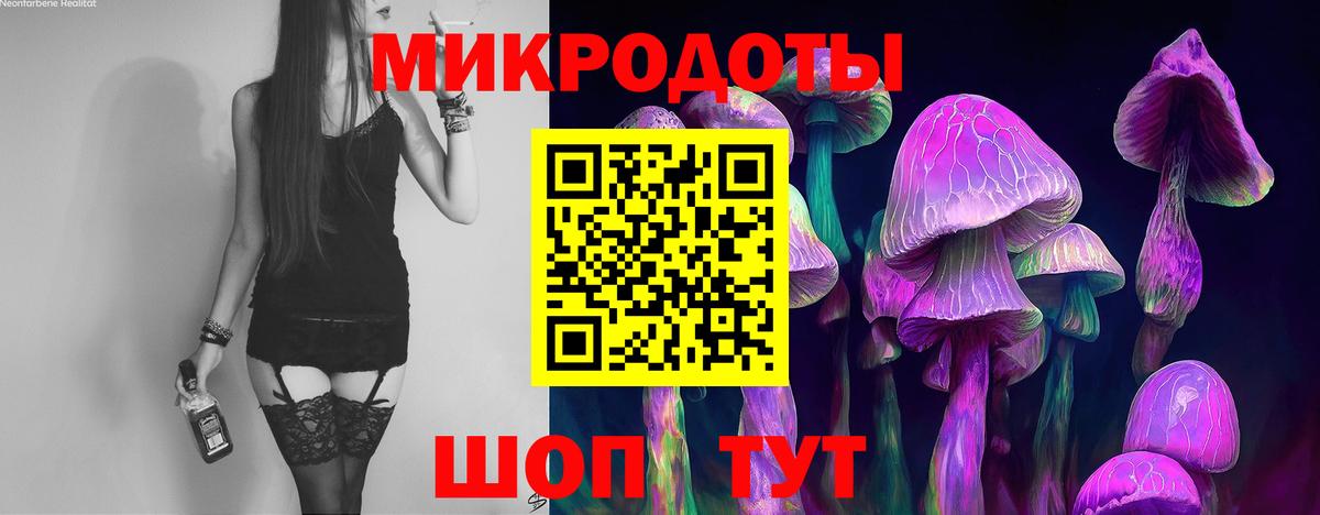 Псилоцибиновые грибы мухоморы Луховицы