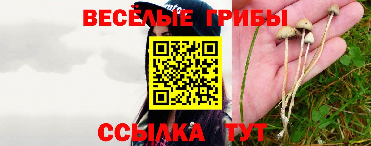 Псилоцибиновые грибы Psilocybe  Галлюциногенные грибы Cubensis  Луховицы 